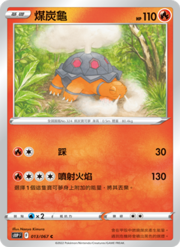 煤炭龜
