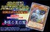 Yu-Gi-Oh! The Dark Side of Dimensions Theater distribution cards