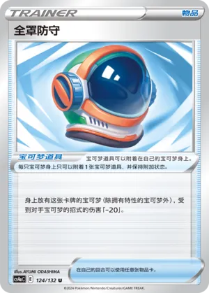 Full Face Guard