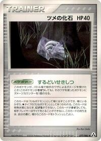 爪の化石