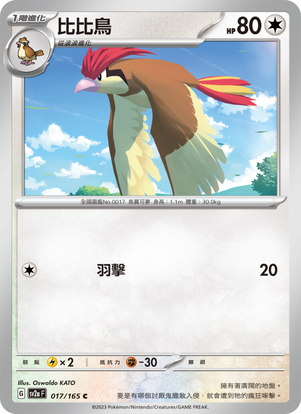 Pidgeotto