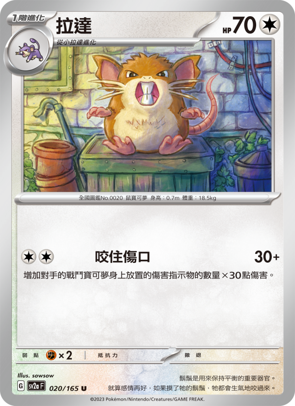 Raticate