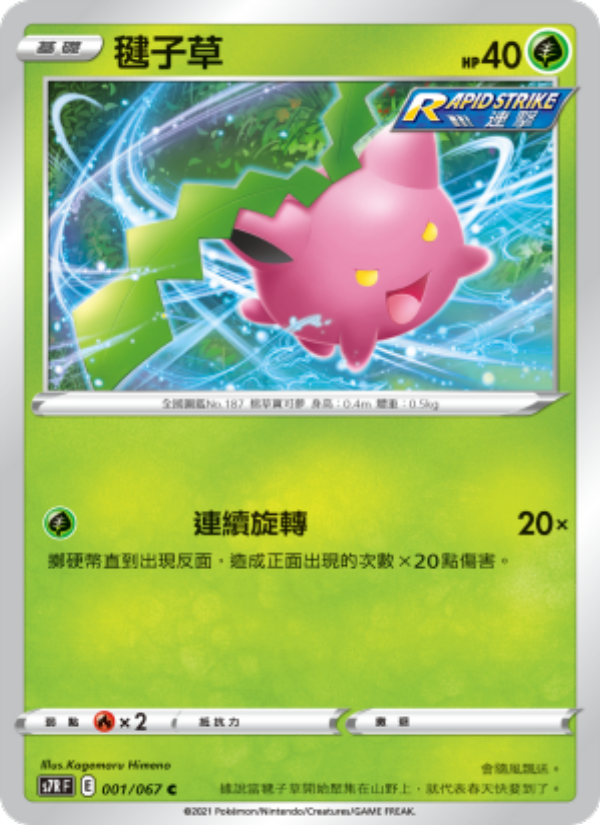 毽子草