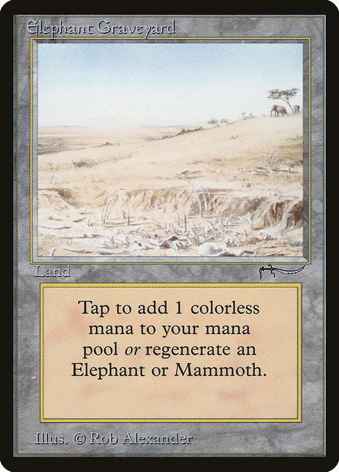 Elephant Graveyard