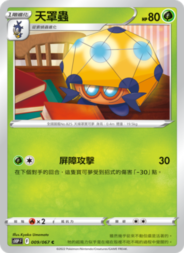 天罩蟲