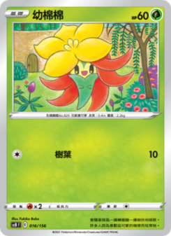 幼棉棉