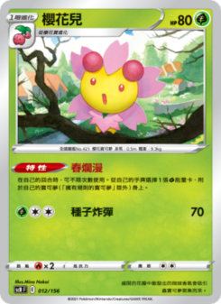 櫻花兒
