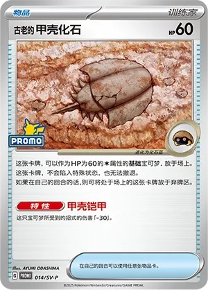 Antique Dome Fossil