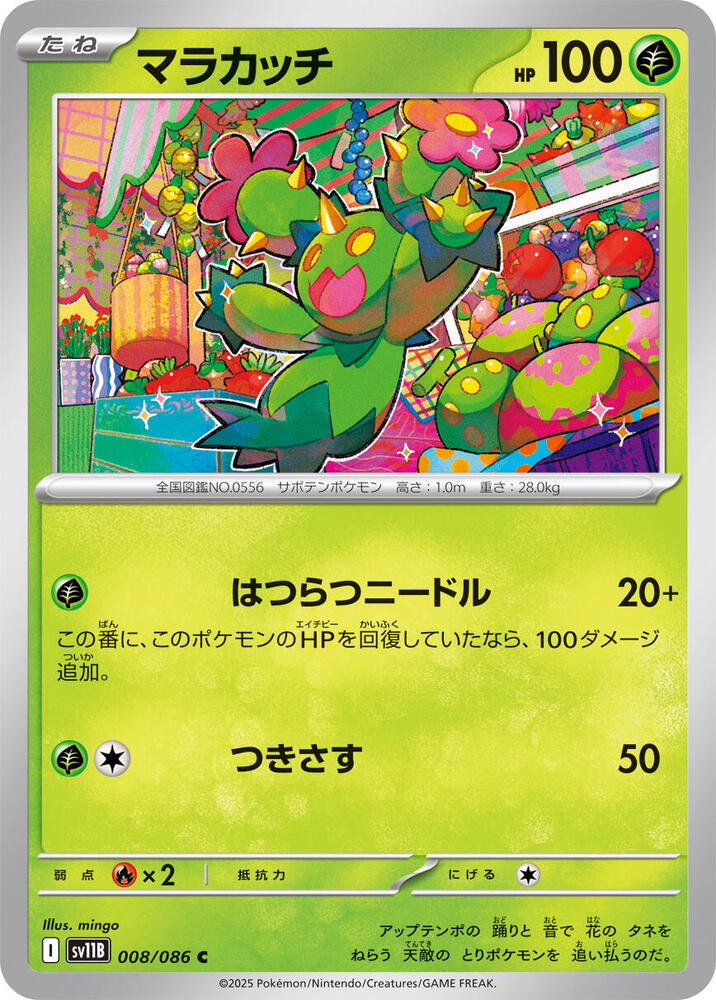 Maractus