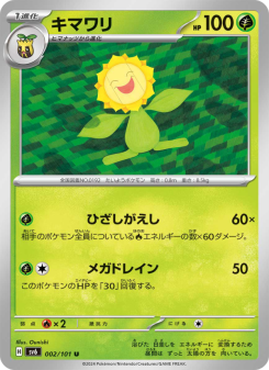 Sunflora
