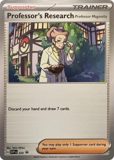 Professor's Research