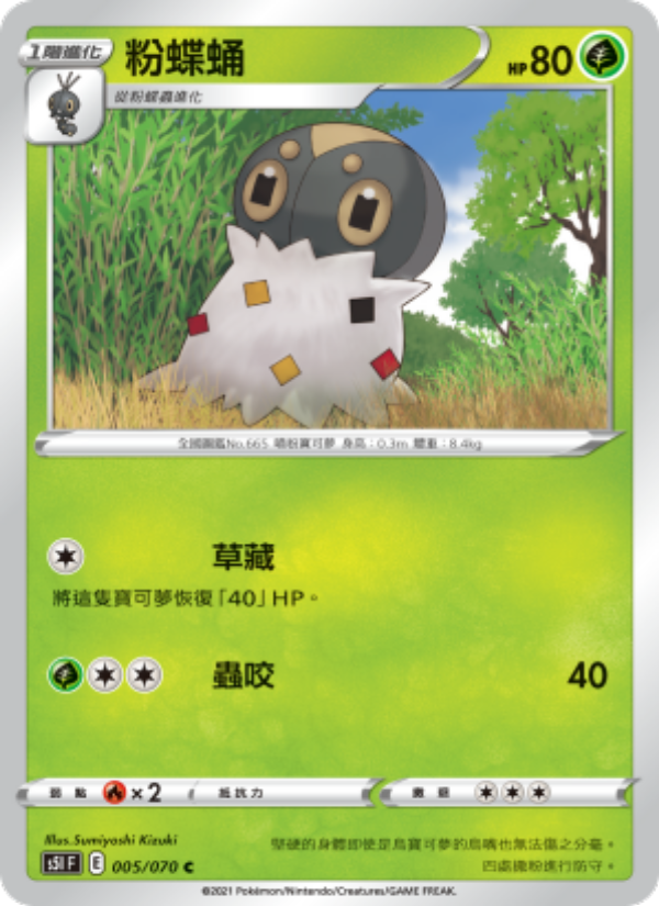 粉蝶蛹