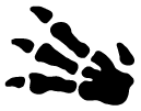 Fossil (PMCG3)