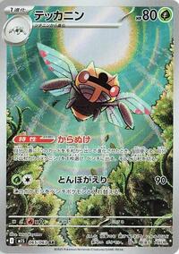 Ninjask