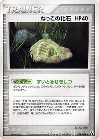 根の化石