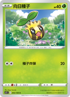 向日種子