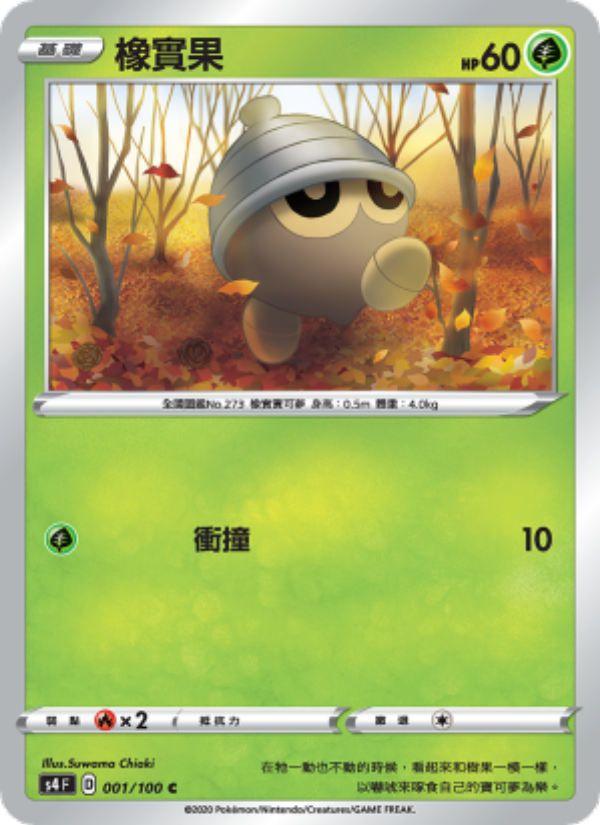 橡實果