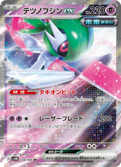 Iron Valiant ex