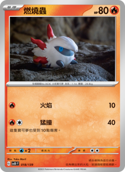 燃燒蟲