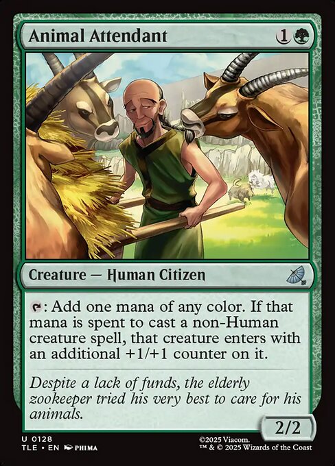 Animal Attendant