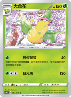 大食花