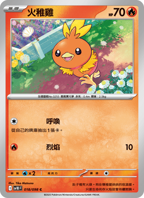 Torchic