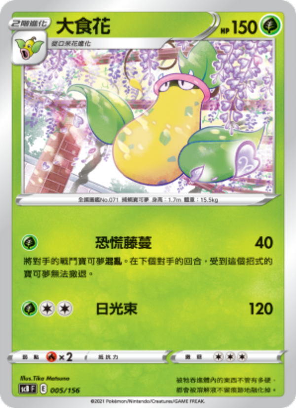大食花