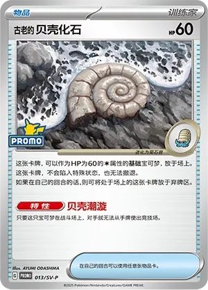 Antique Helix Fossil